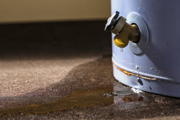 Best 24-hour water damage restoration  in Bainbridge, GA