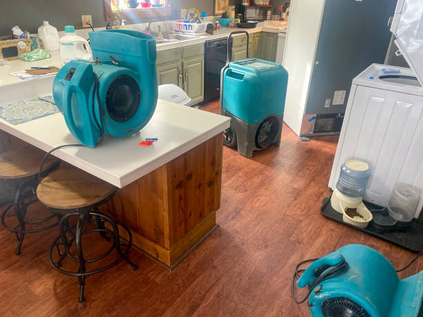 Best Residential water damage restoration  in Bainbridge, GA