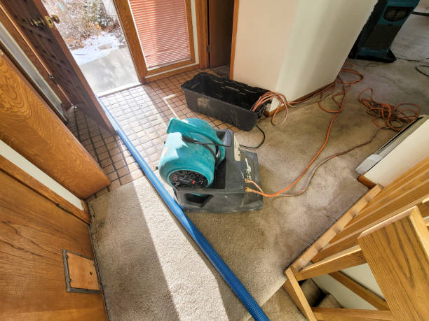 Best Water damage contractors near me  in Bainbridge, GA
