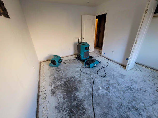 Best Water damage cleanup near me  in Bainbridge, GA