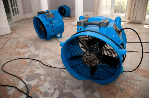 Best 24/7 water damage repair  in Bainbridge, GA