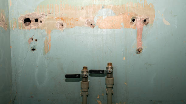  Bainbridge, GA Water damage restoration Pros
