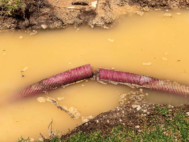 Best Flood damage cleanup  in Bainbridge, GA