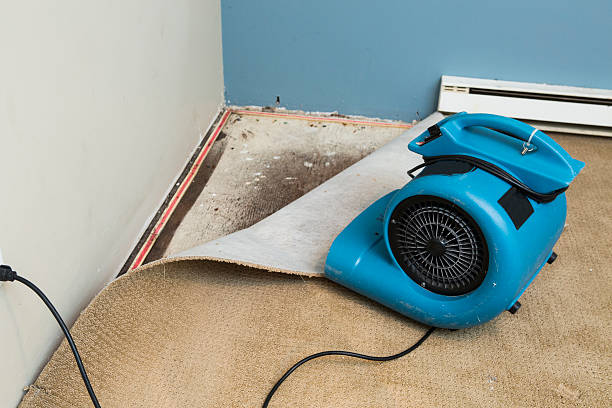 Water damage restoration insurance claims in GA